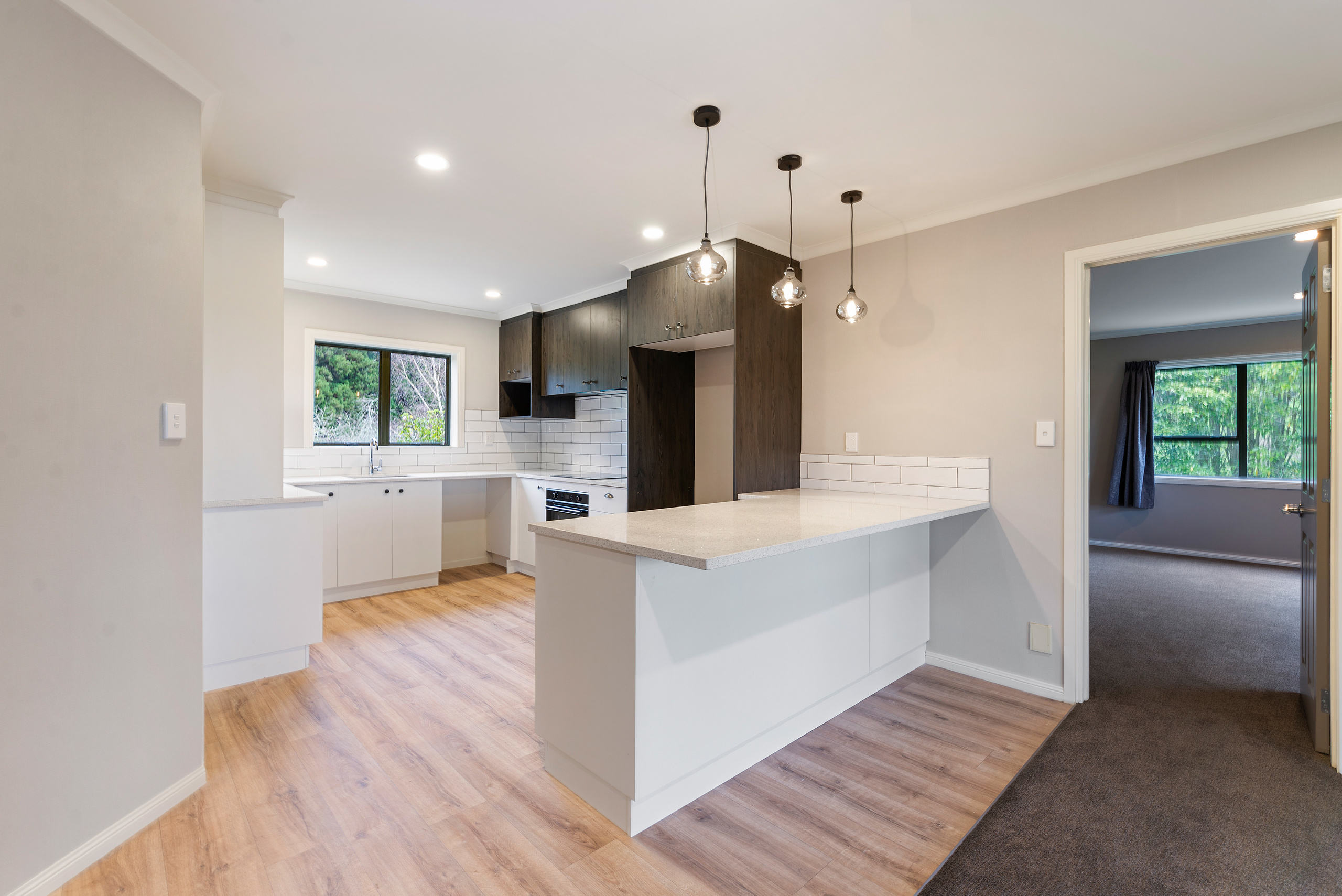 ray stevens homes renovation project